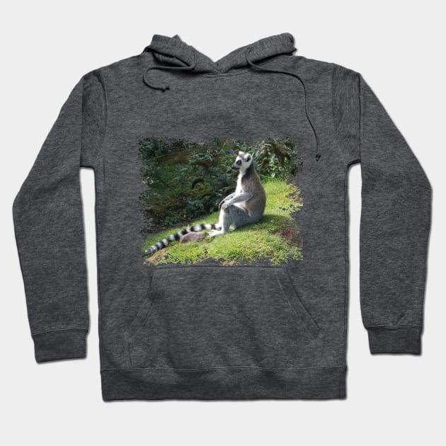 Lemur Hoodie by Nicole Gath Photography